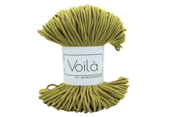 Arany kiwi zsinórfonal