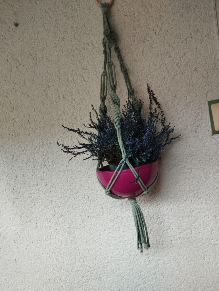 Image #1 from Eszter